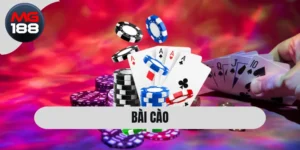 Bài Cào