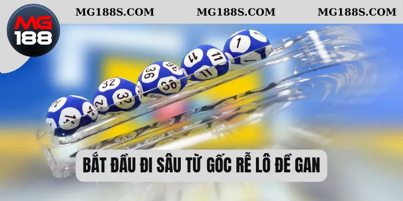  Bắt đầu đi sâu từ gốc rễ lô đề gan