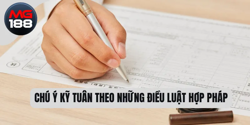 Điều Khoản Và Điều Kiện MG188 3 Chú ý kỹ tuân theo những điều luật hợp pháp