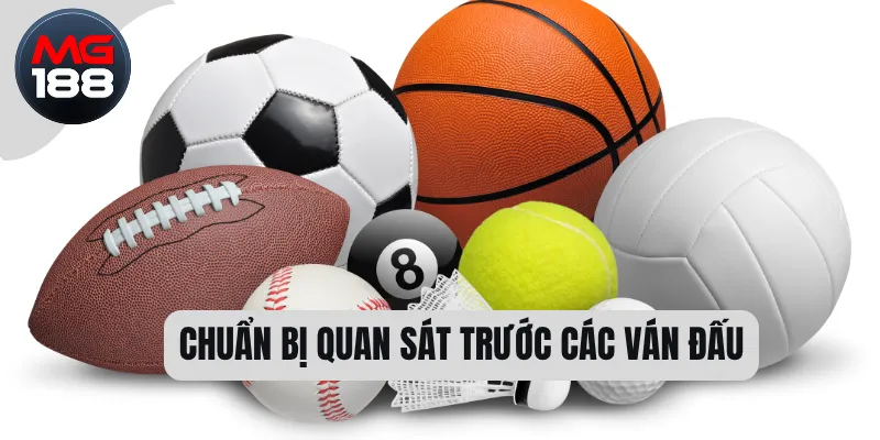 Chuẩn bị quan sát trước các ván đấu