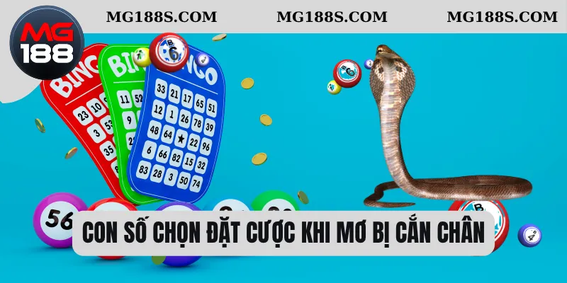 Con số chọn đặt cược khi mơ bị cắn chân 