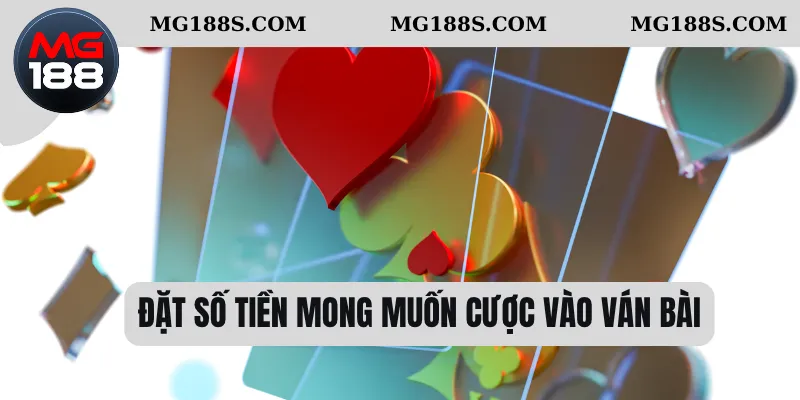 Đặt số tiền mong muốn cược vào ván bài