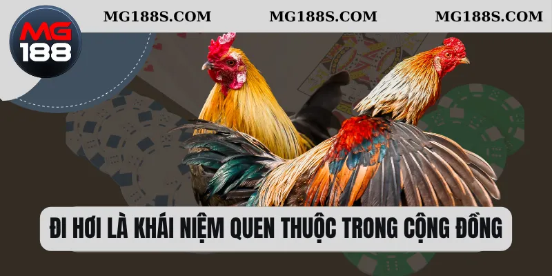 Đi hơi là khái niệm quen thuộc trong cộng đồng 