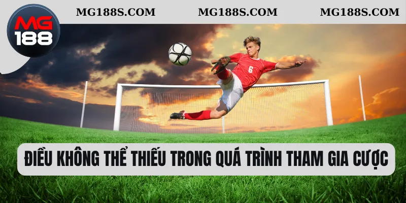 Kèo 1/2 - Cách Chọn Cửa Chuẩn Diễn Ra Từng Trận Đấu 2 Điều không thể thiếu trong quá trình tham gia cược