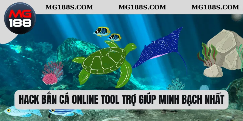 Hack Bắn Cá Online - Sự Lợi Hại Khi Sử Dụng Phần Mềm 1 Hack bắn cá online tool trợ giúp minh bạch nhất