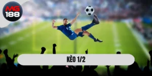Kèo 1/2