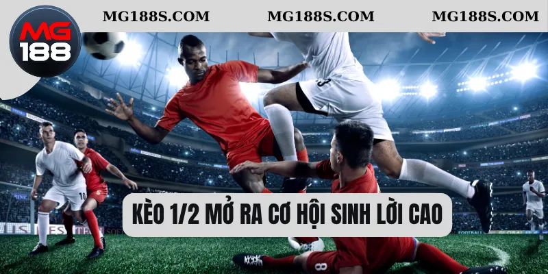Kèo 1/2 - Cách Chọn Cửa Chuẩn Diễn Ra Từng Trận Đấu 1 Kèo 1/2 mở ra cơ hội sinh lời cao