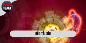 Kèo Tài Xỉu