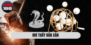 Mơ Thấy Rắn Cắn