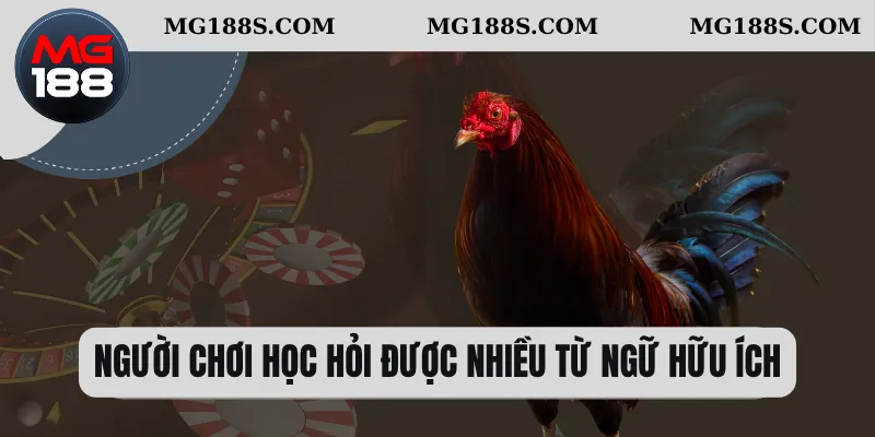 Người chơi học hỏi được nhiều từ ngữ hữu ích 