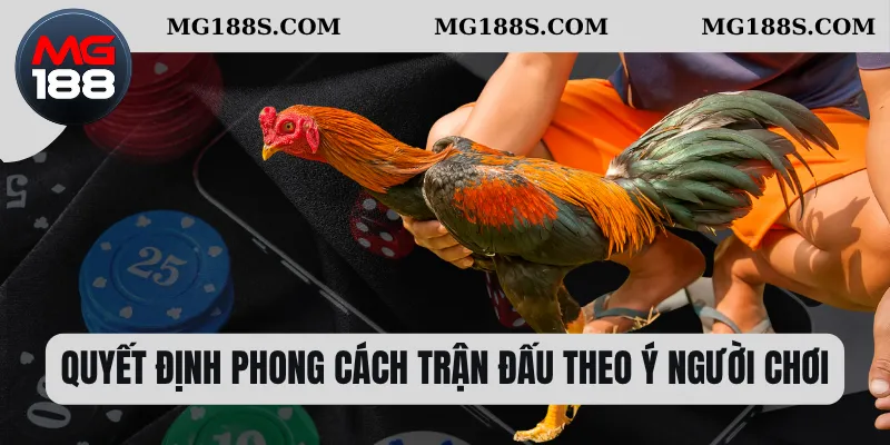 Trường Gà Savan – Nơi Quy Tụ Những Trận Mãn Nhãn Nhất 2 Quyết định phong cách trận đấu theo ý người chơi