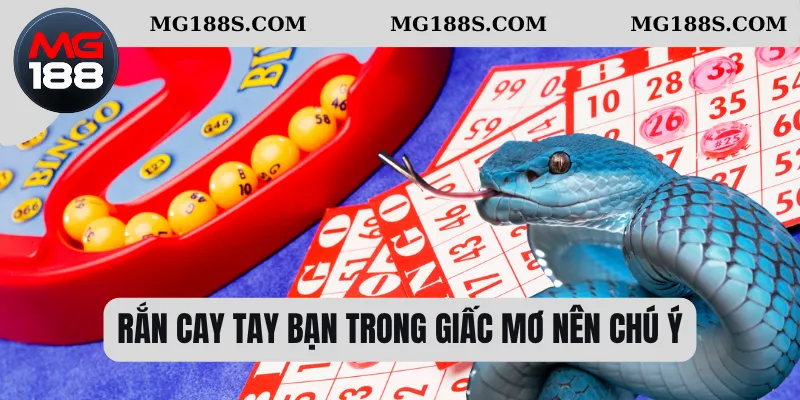 Rắn cay tay bạn trong giấc mơ nên chú ý 