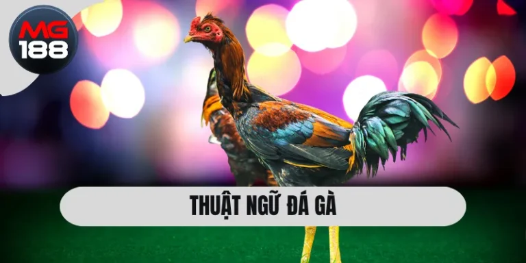 Thuật Ngữ Đá Gà