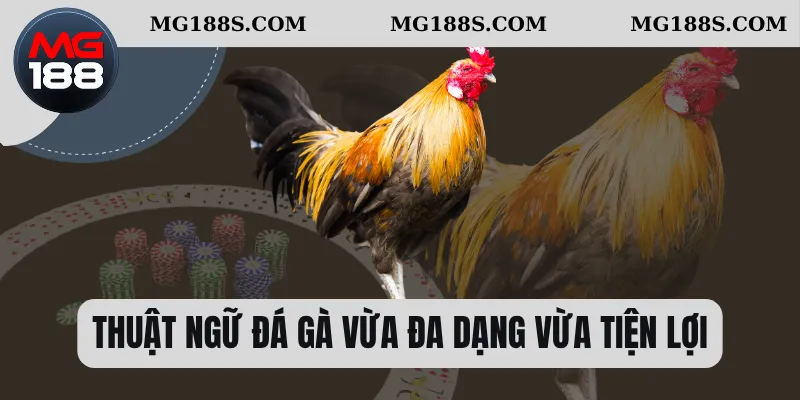 Thuật ngữ đá gà vừa đa dạng vừa tiện lợi 